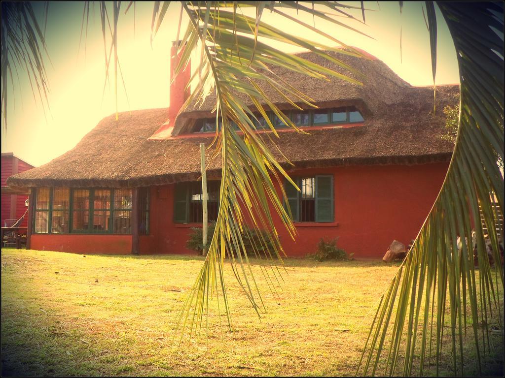 Hostel El Nagual Punta Del Diablo Ngoại thất bức ảnh