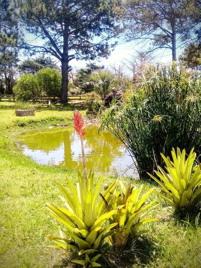 Hostel El Nagual Punta Del Diablo Ngoại thất bức ảnh